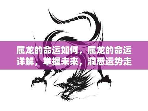 掌握未来命运走向,属龙人的运势详解与命运探索