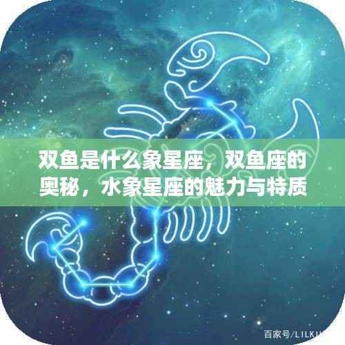 揭秘双鱼座,水象星座的魅力与独特奥秘