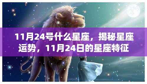 揭秘11月24日星座特征,运势与星座性格解析