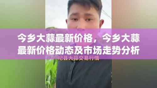 今乡大蒜最新价格,今乡大蒜最新价格动态及市场走势分析