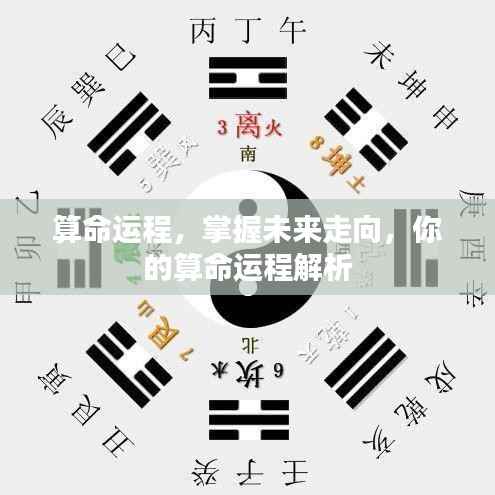 掌握未来走向,全面解析你的算命运程