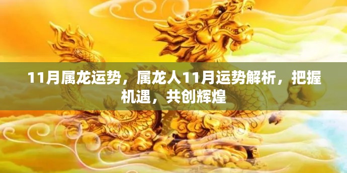 属龙人11月运势详解,把握机遇,共创辉煌新篇章