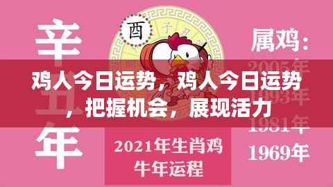 鸡人今日运势揭秘,把握机遇,展现无限活力