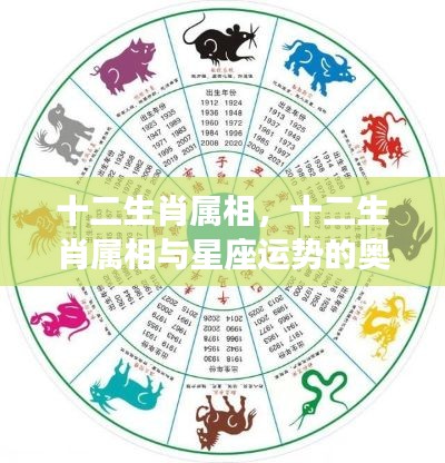 十二生肖属相与星座运势的奥秘交织探秘