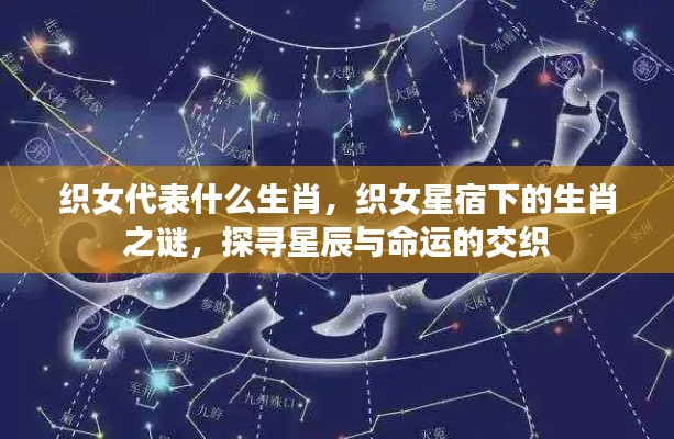 织女星宿下的生肖之谜,探寻星辰与命运的交织,揭秘织女代表的生肖