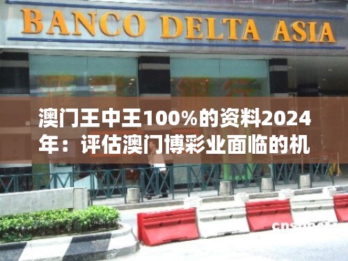 澳门王中王100%的资料2024年:评估澳门博彩业面临的机遇与挑战