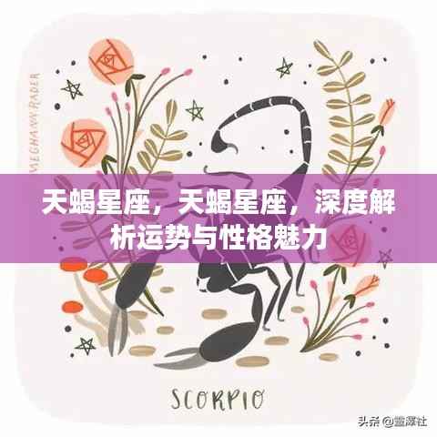 天蝎星座深度解析,运势与性格魅力探究