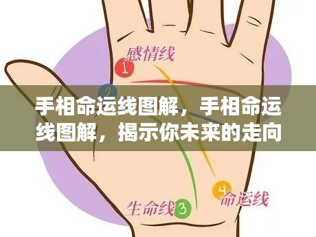 手相命运线图解,揭示未来走向的奥秘