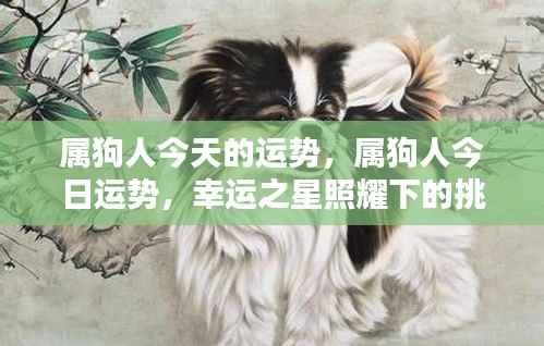 属狗人今日运势,幸运与挑战并存,机遇与挑战同在
