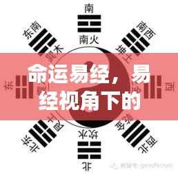 易经视角下的星座命运解读,命运易经解析之道