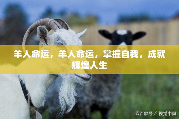羊年出生者的命运解析与自我成就之道，羊人命运掌握，辉煌人生可期