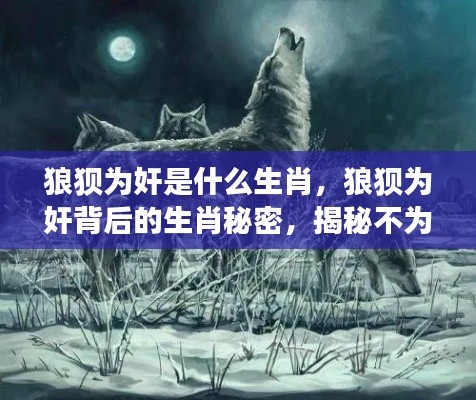 揭秘生肖秘密,狼狈为奸背后的星座与生肖之谜
