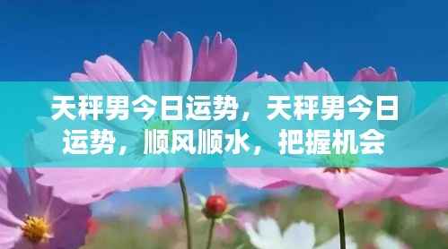 天秤男今日运势大解析，顺风顺水，机会把握是关键