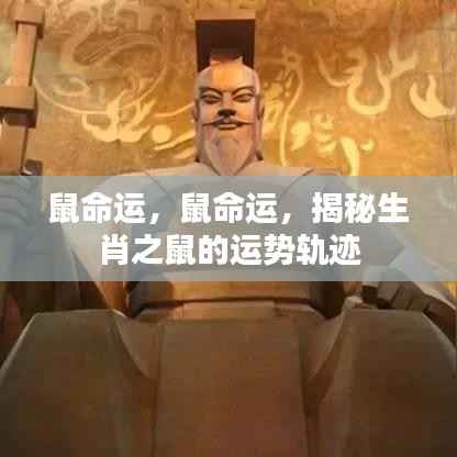 揭秘生肖鼠的运势轨迹,探寻命运之轮中的机遇与挑战