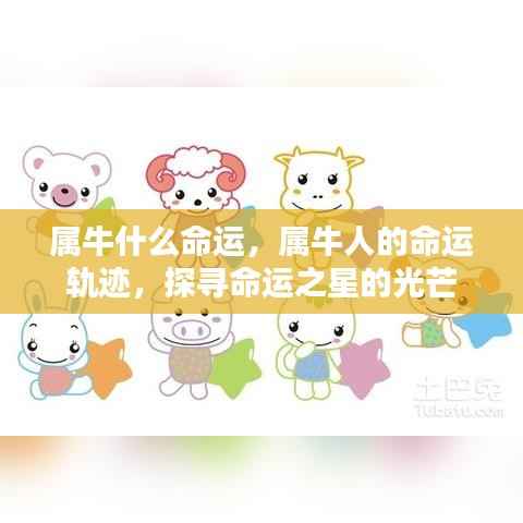 属牛人的命运探索，命运之星的光芒与轨迹