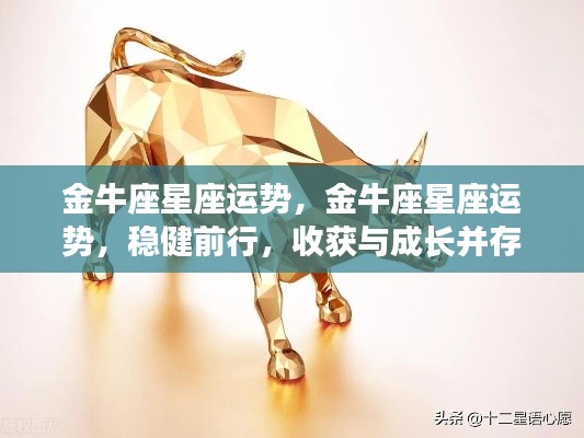 金牛座星座运势展望,稳健前行,收获与成长双丰收
