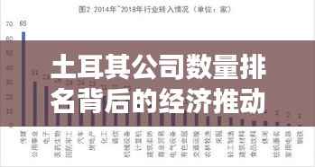 土耳其公司数量排名背后的经济推动力,企业繁荣如何影响国家经济?