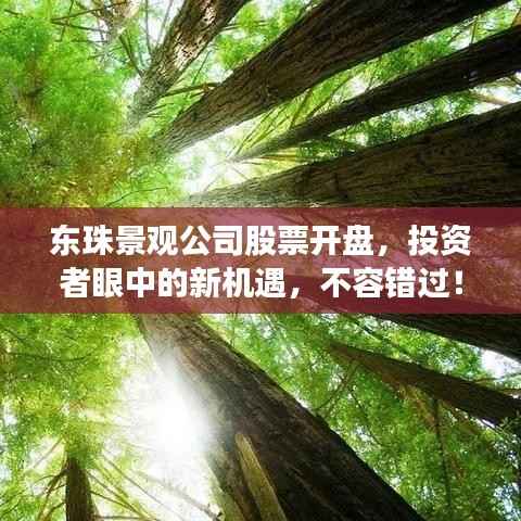 东珠景观公司股票开盘,投资者眼中的新机遇,不容错过!