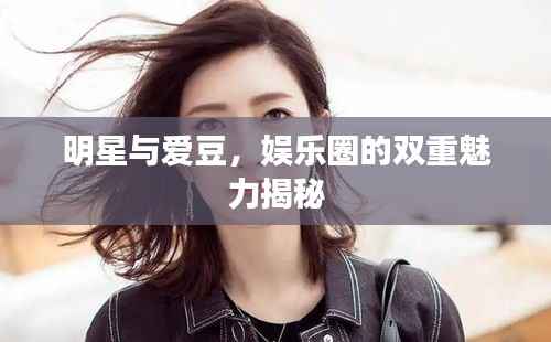 明星与爱豆，娱乐圈的双重魅力揭秘
