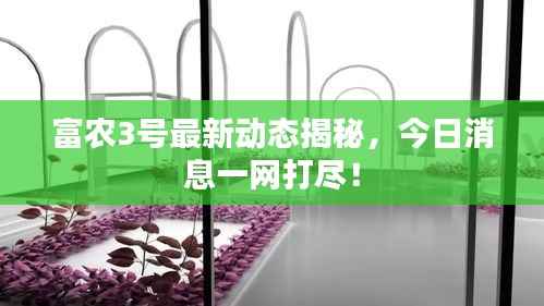 富农3号最新动态揭秘，今日消息一网打尽！