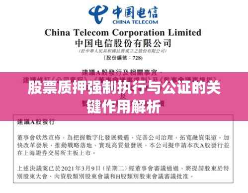 股票质押强制执行与公证的关键作用解析