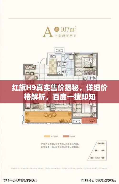 红旗H9真实售价揭秘,详细价格解析,百度一搜即知