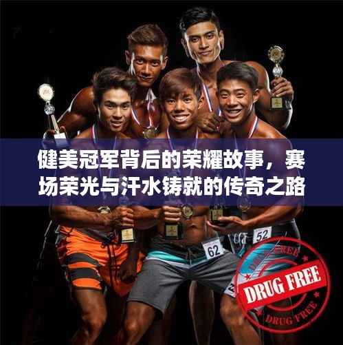 健美冠军背后的荣耀故事,赛场荣光与汗水铸就的传奇之路