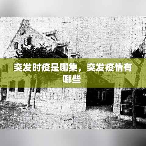 突发时疫是哪集,突发疫情有哪些