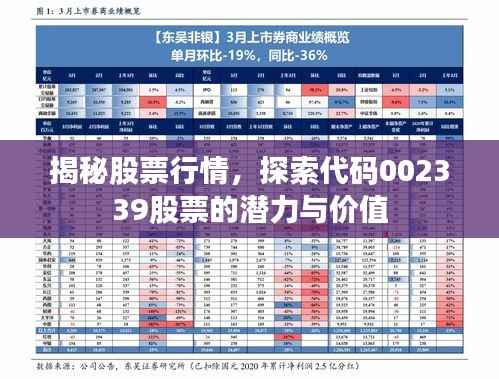 揭秘股票行情,探索代码002339股票的潜力与价值
