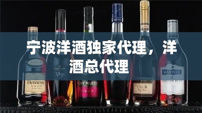 宁波洋酒独家代理,洋酒总代理