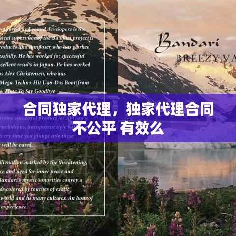 合同独家代理,独家代理合同 不公平 有效么