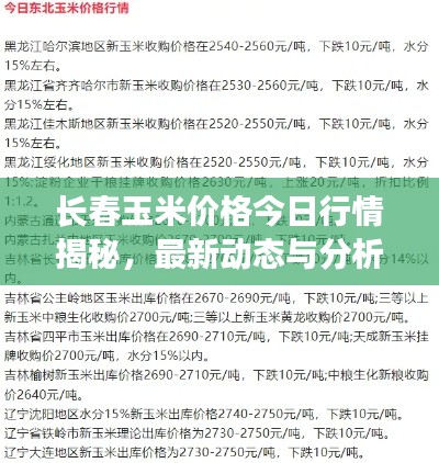 长春玉米价格今日行情揭秘，最新动态与分析