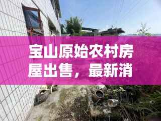 宝山原始农村房屋出售,最新消息抢先看!